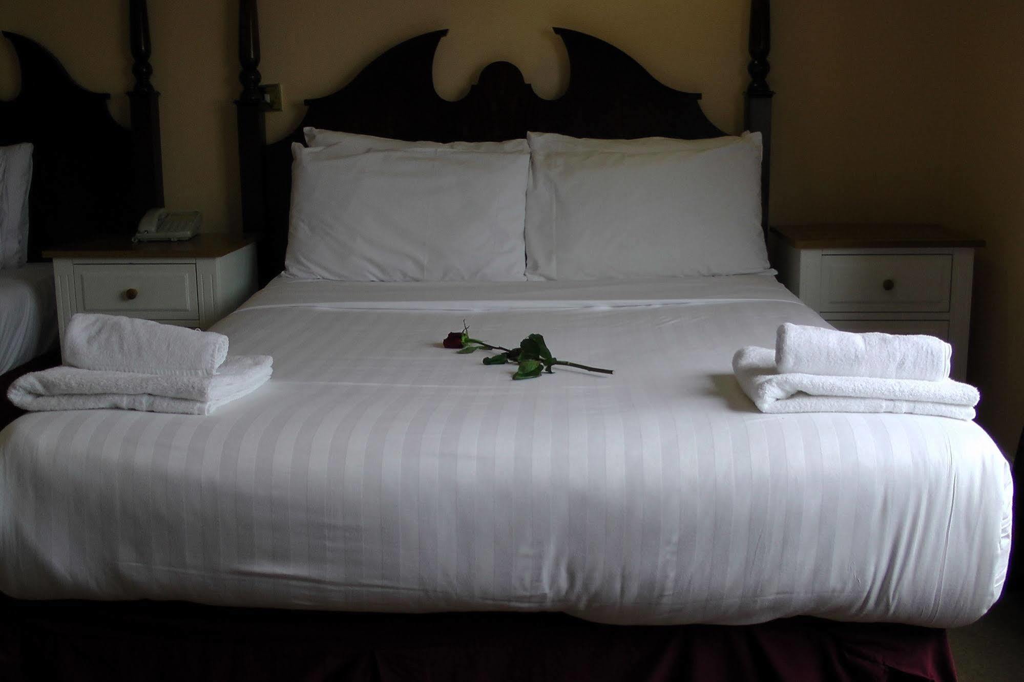 Shamrock Inn Hotel Lahinch Exteriér fotografie